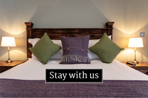 stay with us 2.png_1581606343